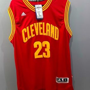 Lebron James jersey NEW